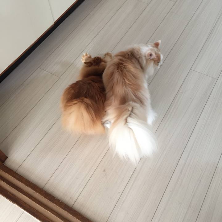 D0b7acec 59d1 4813 85e9 1c156914cfed