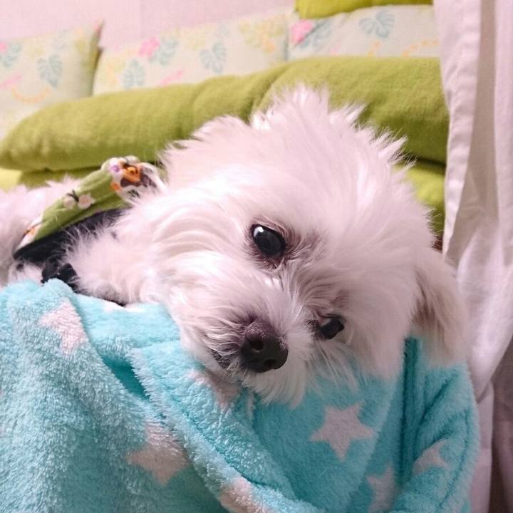 D0b7bbc0 8ff5 4475 b244 25bbe1f183ab