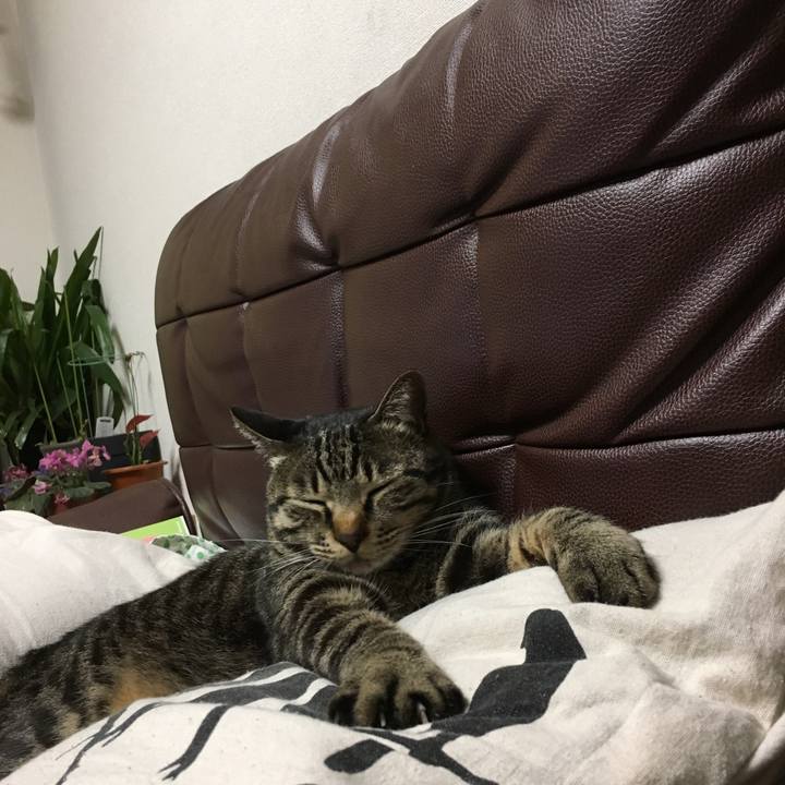 D0b82cbd 1835 4f7c a347 d634d0fb88b8