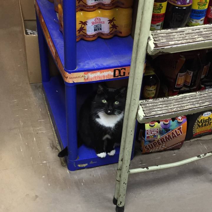 D0b855c4 806b 40e9 8407 327d30abef85