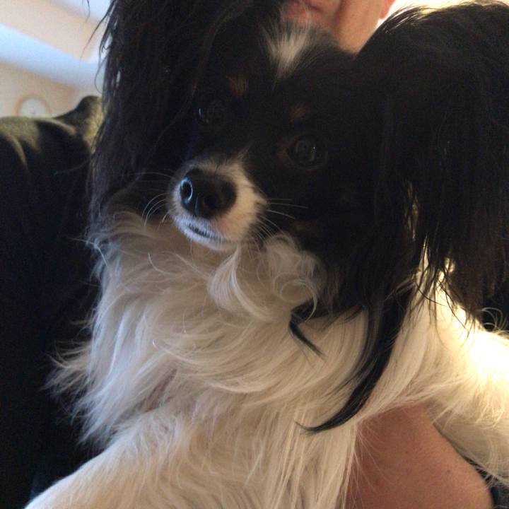 D0b88f8c 7fe6 4713 902f 813cc5df8730