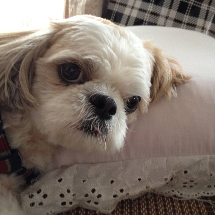 D0b89d67 c287 424d 9088 86beae44ebef