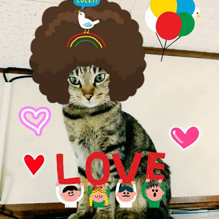 D0b8bd07 2e1d 4ce0 925e 0888cc81c786