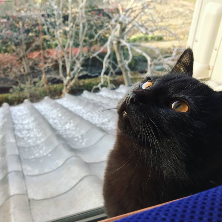 D0b8d3b5 1708 49c3 a071 1aee3723da65