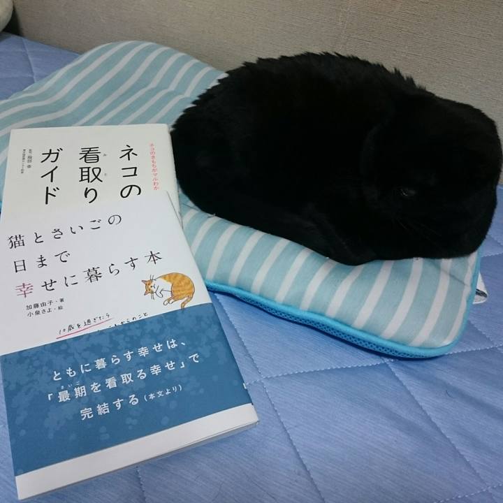 D0b92ab5 01b3 4d26 a7d4 317157898bbb