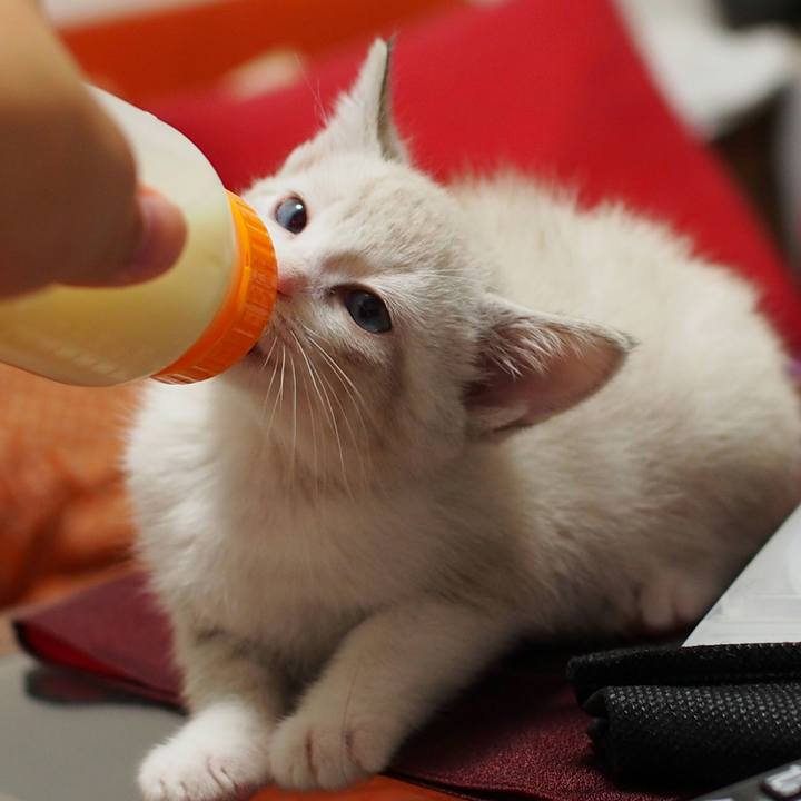 D0b93ba4 64e4 4130 96f4 eeaa3137b93f