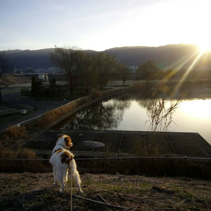 D0b98443 3af6 496f 9627 37b5963db0ae