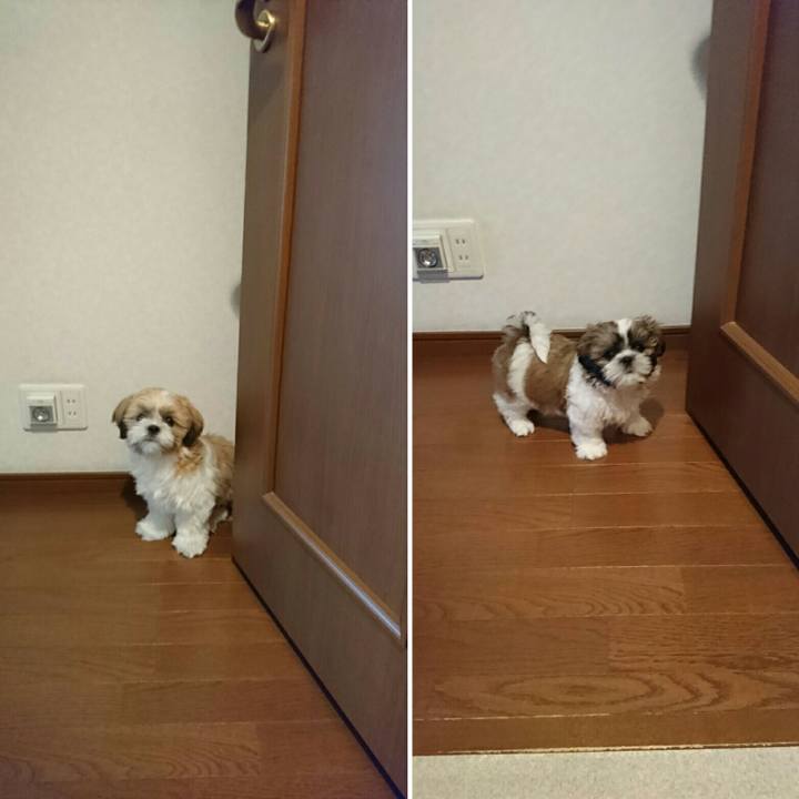 D0b998c0 5175 4152 802a 9de8c4f5740e