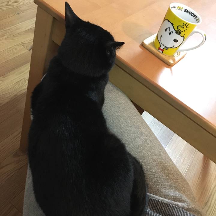 D0b9f503 5821 4296 92a9 b3de47f6eeb8