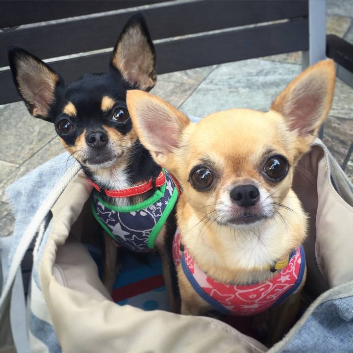 D0ba4d8a 11ce 492e b14d cfbca90d5813