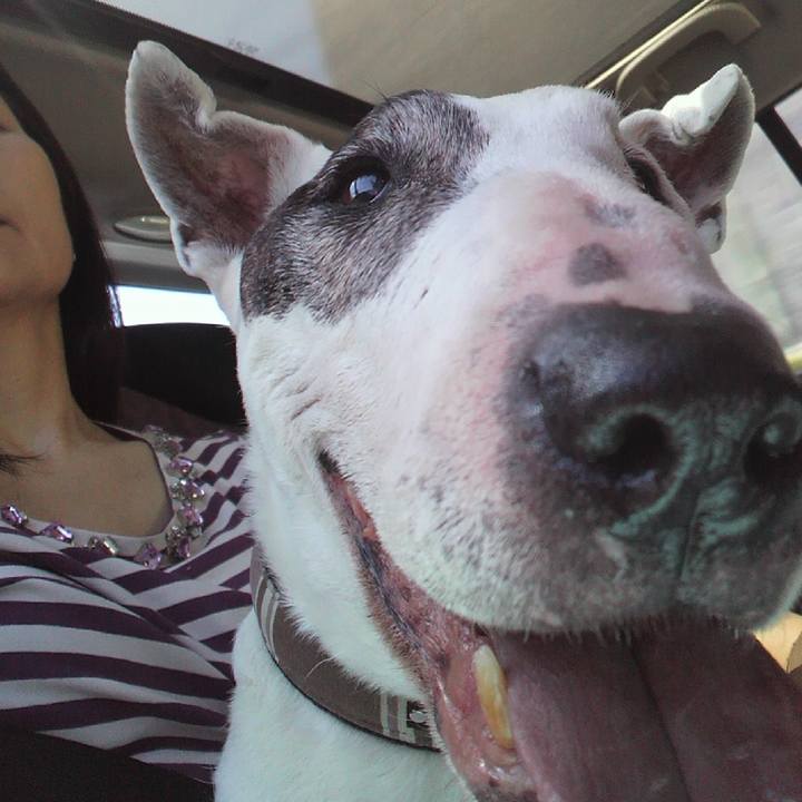 D0ba90c3 6263 42c8 a71a fa943e1be3e5