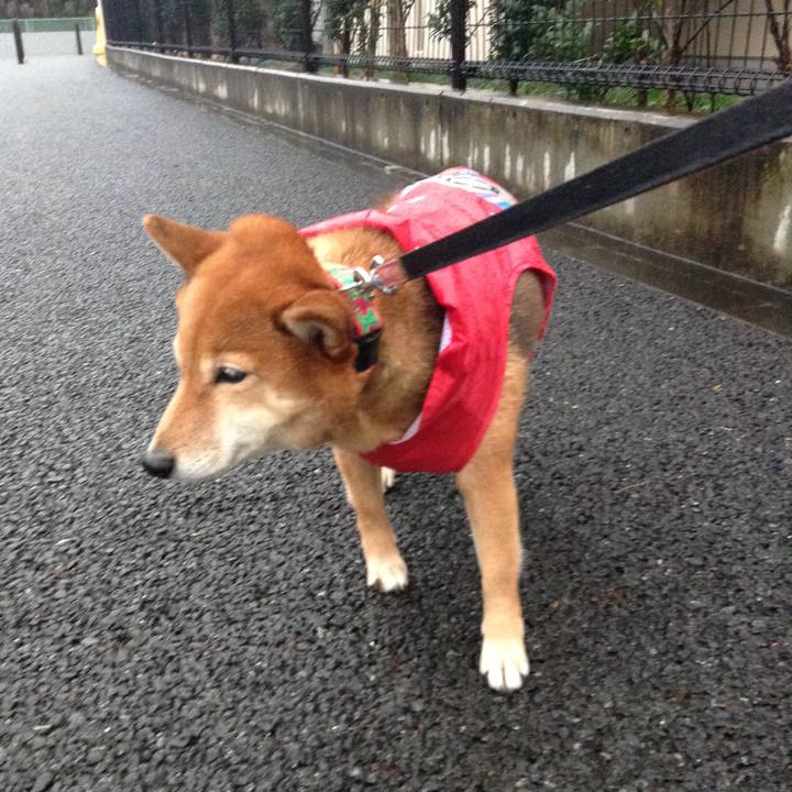 D0bac7b0 ac79 4ed0 a63a fd95233c1c63