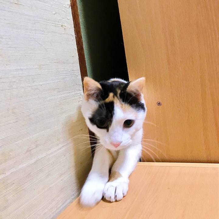 D0bb180f bfc0 40bc a877 a5ec86584310