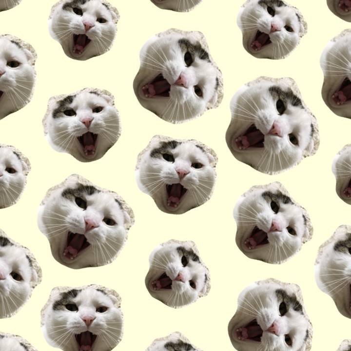 D0bb5ae4 2d5c 470c a0fb 8c5acafcd485