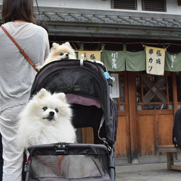 D0bbe13d 4f31 444f a9f2 f8fe880f766c