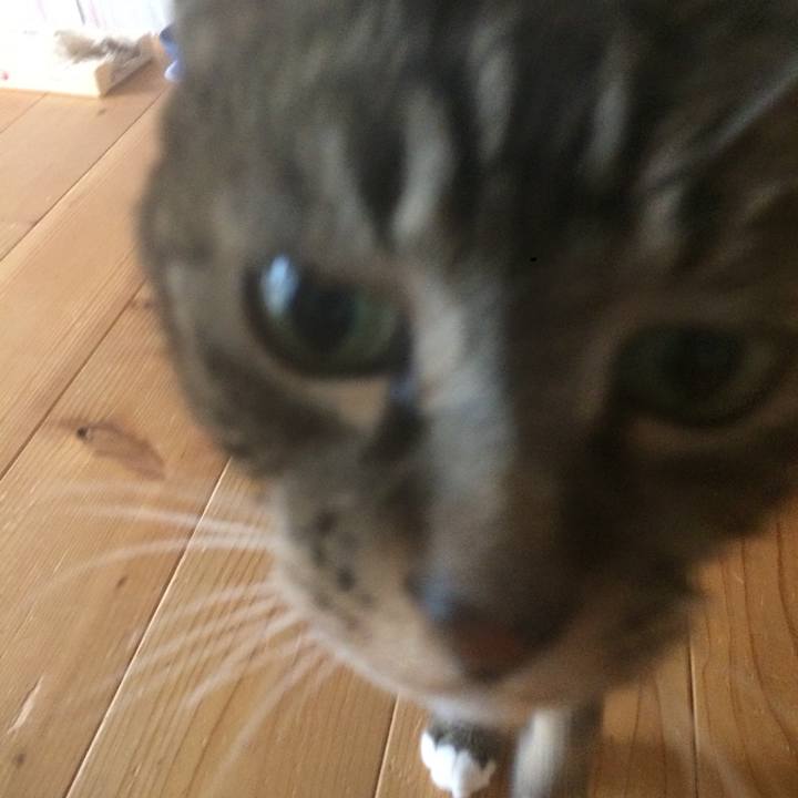 D0bccd1e bd49 4440 a4cc 27a63eac83e7