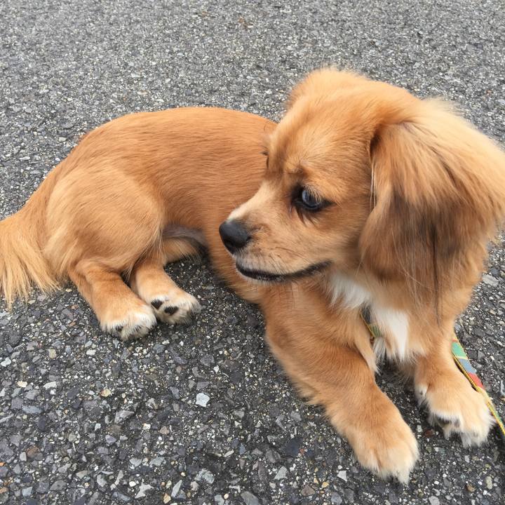 D0be0637 3858 4ae6 9dce 229d8350fcf0