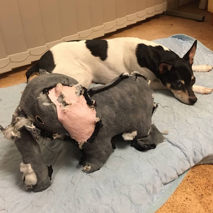 D0be1779 f97e 478a 88e5 947e077e2801