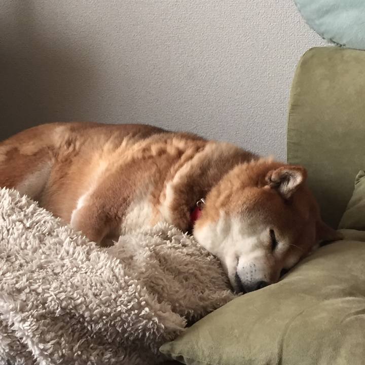 D0be69e1 1889 4146 9619 851a8f680fd1