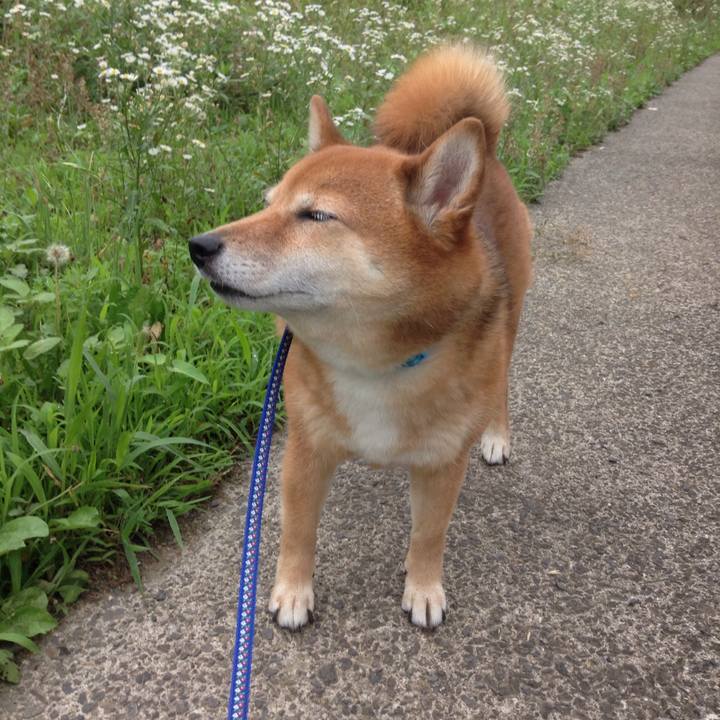 D0bef3da 18d0 47f1 b3f6 2ad46e757f80