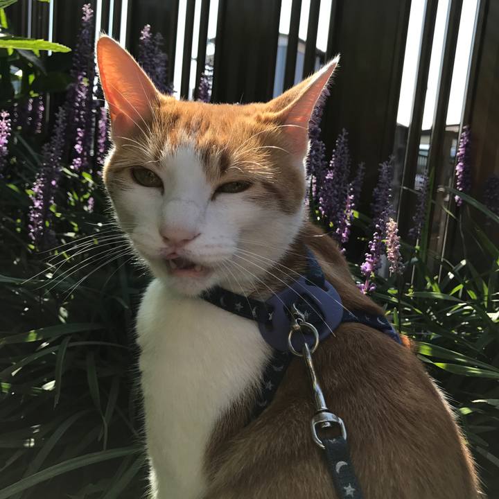 D0bf49d6 6622 4424 89ba e797a5bb5b21