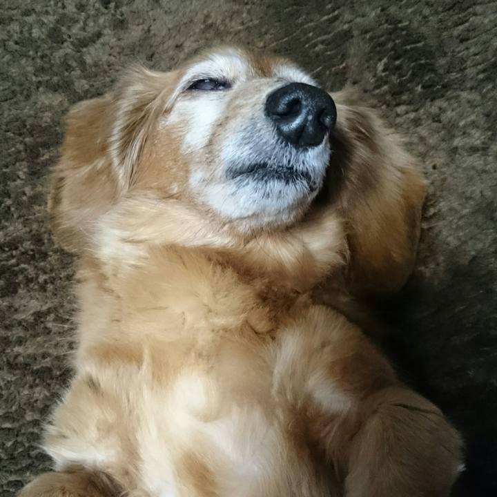 D0bfd8ca a330 4876 8caa 3fc894f3e454