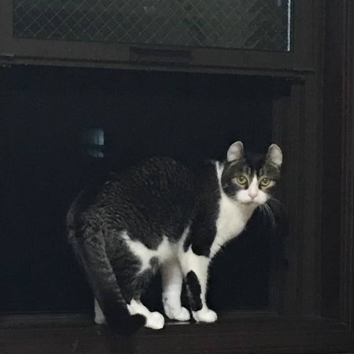 D0bfde5a d049 4d80 aacd a091c090a748