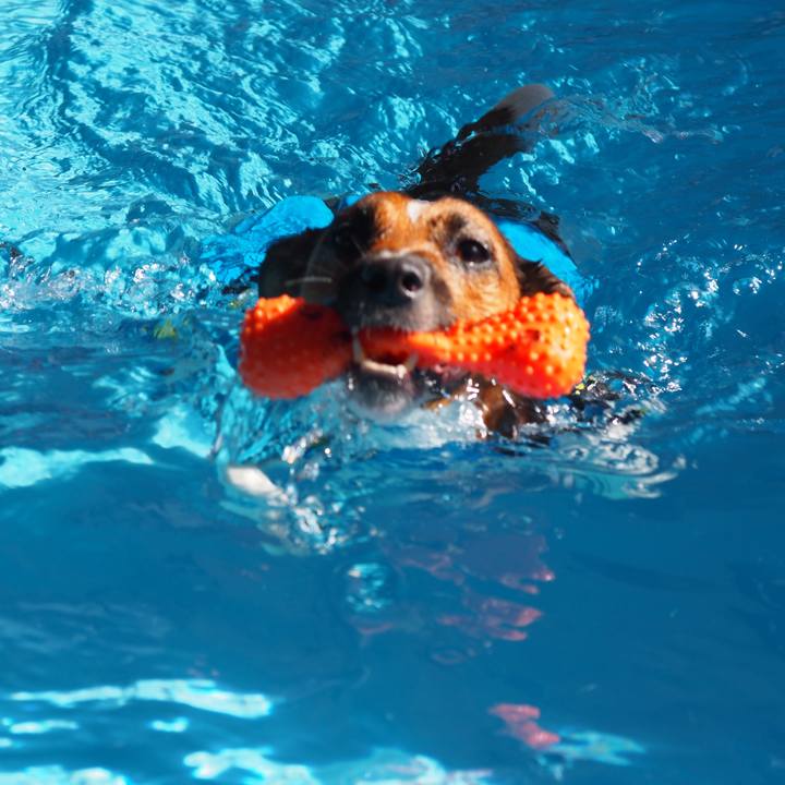 D0c0a149 ff25 424d 9733 6ab717c4bb12