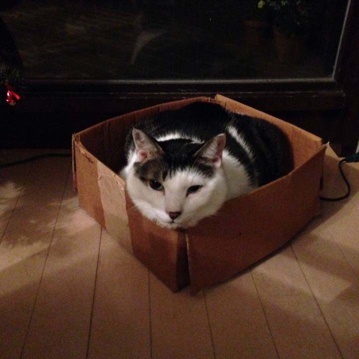 D0c1bbee 0851 4cc4 be8c 9f11a4f4023a