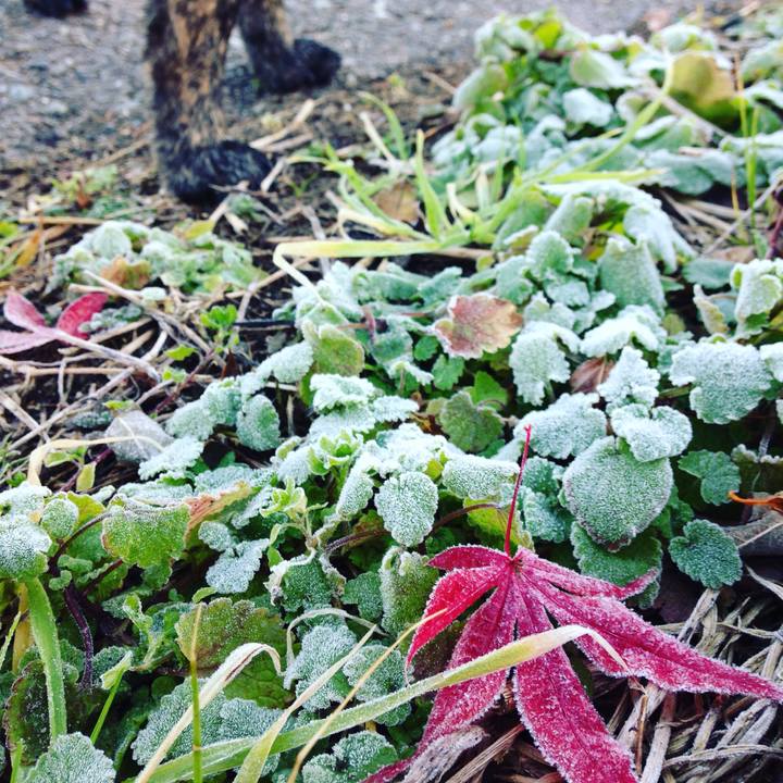 D0c1d203 6b60 43ca 8e74 39108acdfd67