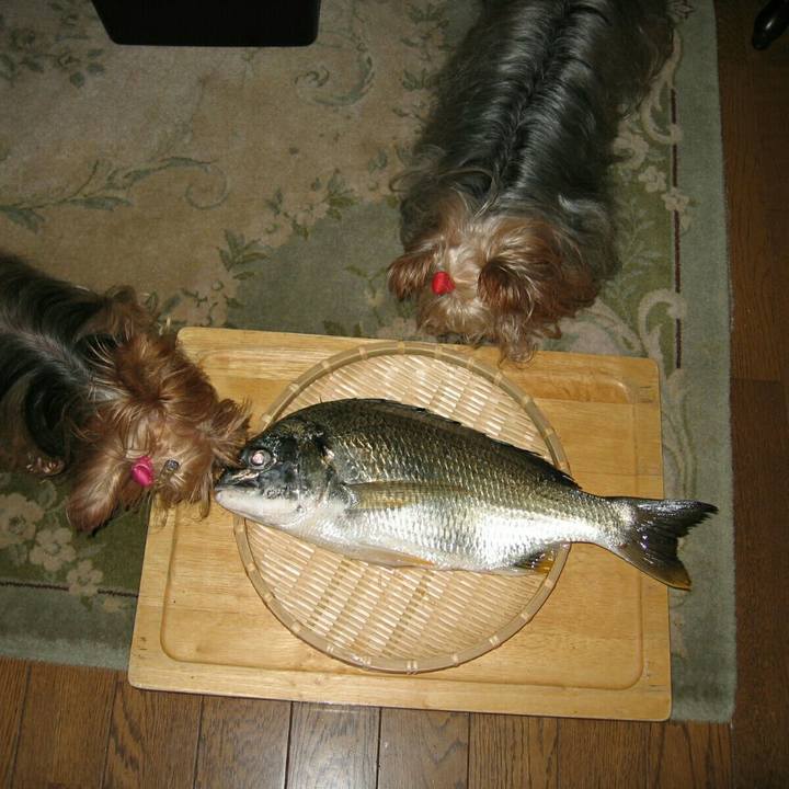 D0c288f5 ce42 4d0d b9b0 fd1ebf1e632f