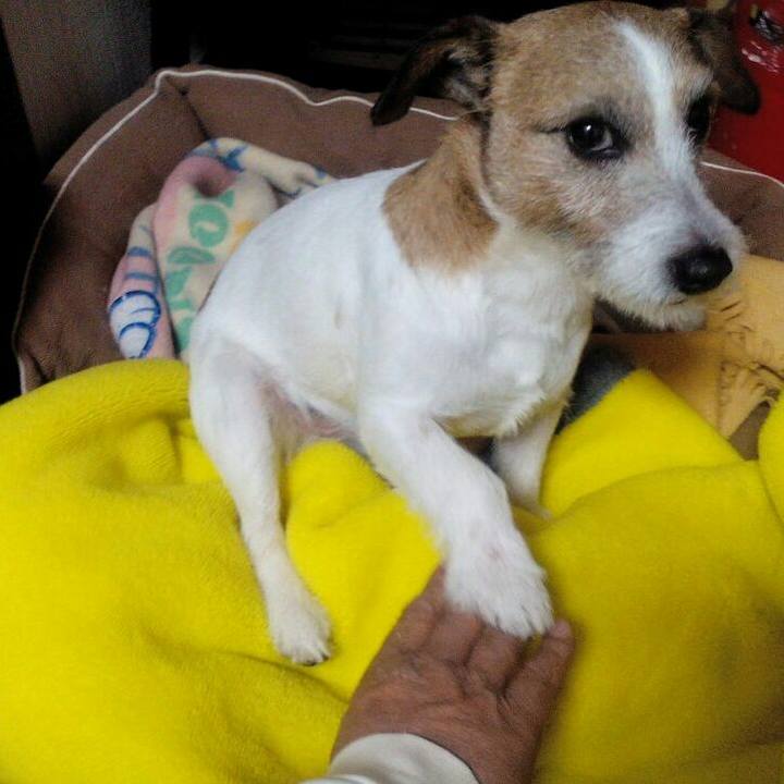 D0c2b951 88ae 460c aad3 49360f8d7a2a