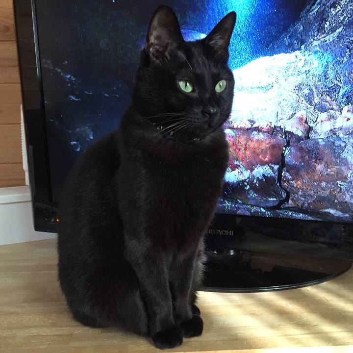 D0c2c0e8 8f9e 4024 a4b9 6d6cb10444a7