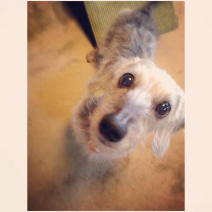 D0c2c3fa bba3 4a07 bae9 b1798fd22f7a