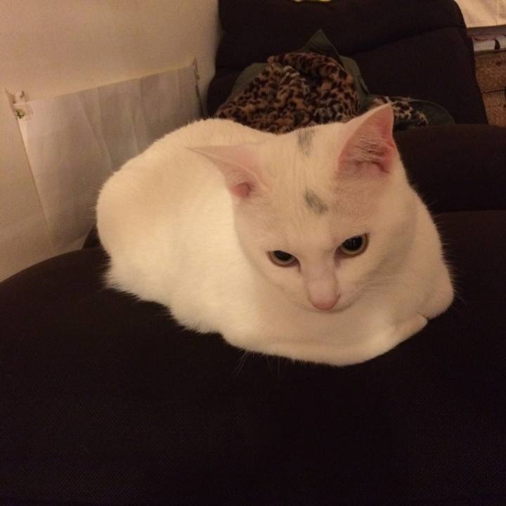 D0c2e7c0 f2b9 4630 8cf2 6c692411f1d3