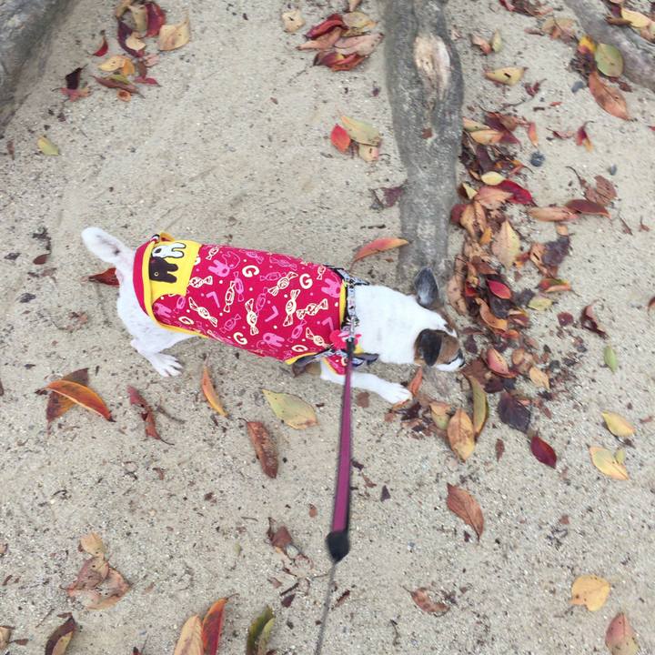 D0c30cf5 c27d 481d a114 aab6afd38a15