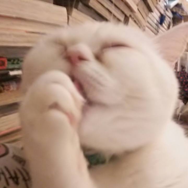 D0c3b38c 8fe0 48f9 b034 3f8b30ecae8b