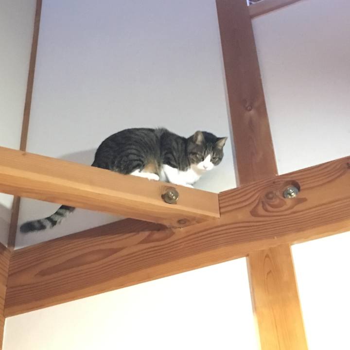 D0c3de46 9201 40b4 9309 1c66e3f77dcc