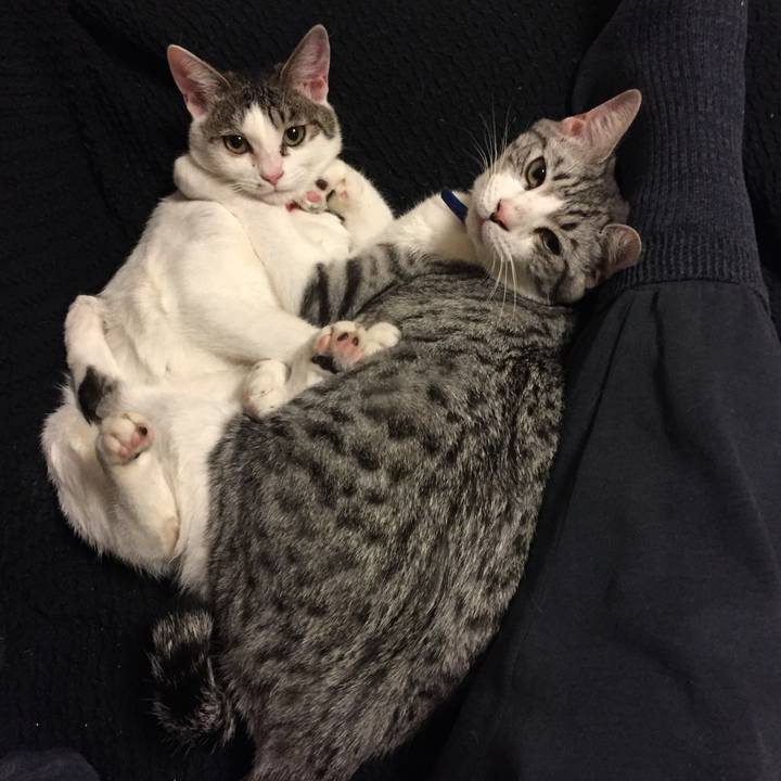 D0c40927 8aee 427e a38b 775c028f1489