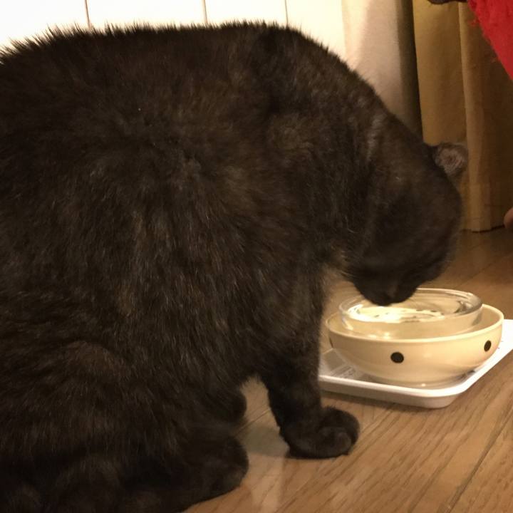 D0c5656c f399 4a8f b4f2 fa4682bd7f67