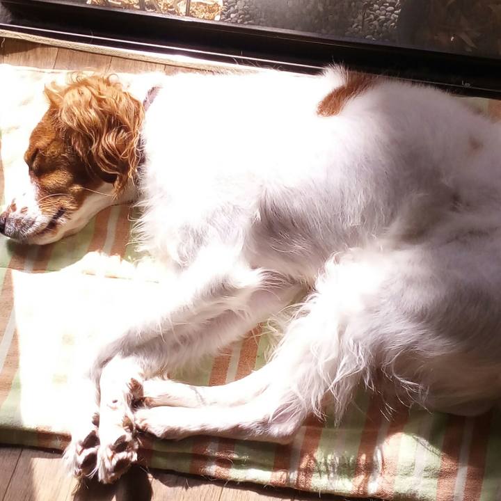 D0c6ae94 2836 4abd 8cfd def184423155