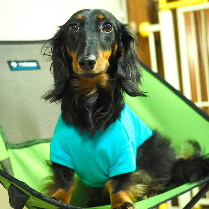 D0c6c6b6 7d9e 49b5 b5e7 e786e7df9e39