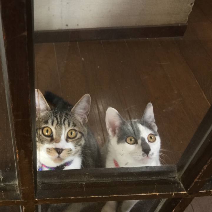 D0c6ea82 d254 487b 9a0e d8169d5a1344