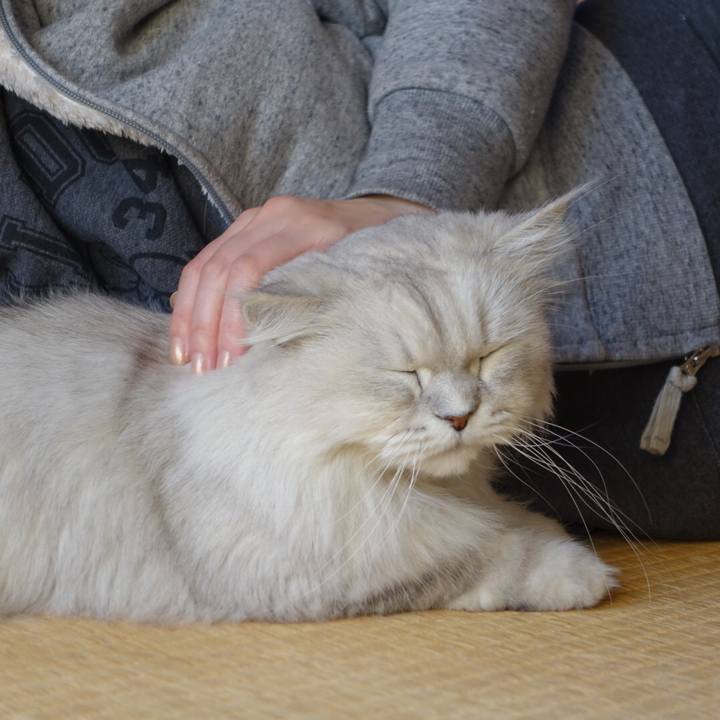 D0c827da 59e1 4c15 9230 486c1cc9a9fa