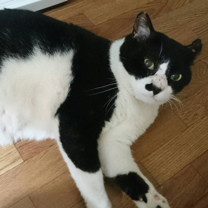 D0c833c9 2417 44f1 840e bfbc1fac2eda