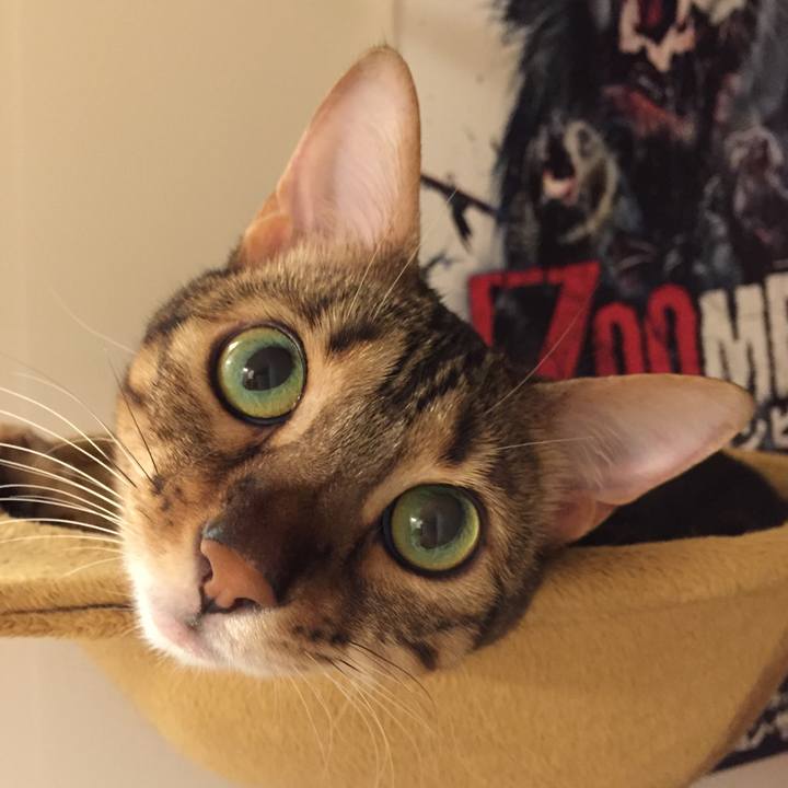 D0c8e146 565b 472c af3b 404e7a9ab6af