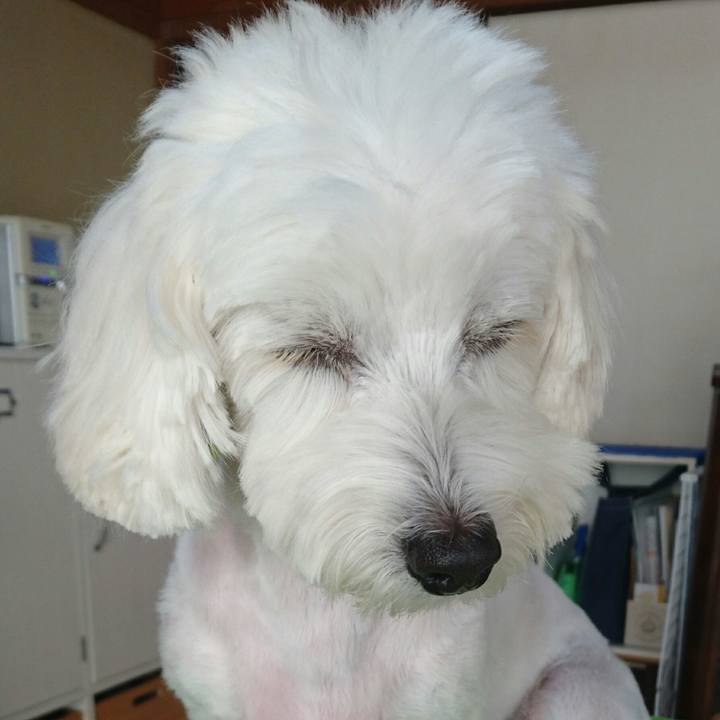 D0c97970 29c1 409f b6c0 afbb5f683e7a