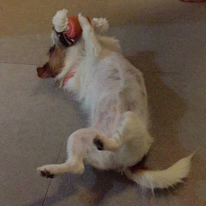 D0c9d9d7 f345 47bd baaf 7220b7c8ab03