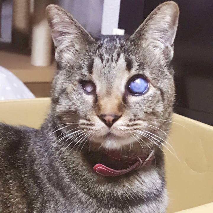 D0ca2f0a e841 4c21 8f32 9c2a2bde0653