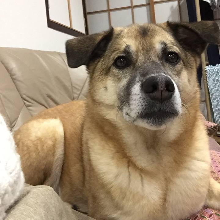 D0ca3f08 1eee 46fb 9b02 d774e61ce91d